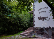 İcarəyə verilir 1 otaqlı 60 m2 bağ evi Zaqatala