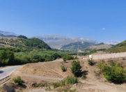 Satılır 12 sot torpaq Quba