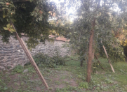 Satılır 5 sot torpaq Qəbələ