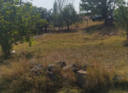 Satılır 6 otaqlı 156 m2 həyət evi Şamaxı