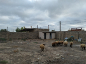 Satılır 25 sot torpaq Türkan