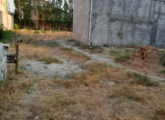 Satılır 10 sot torpaq Badamdar