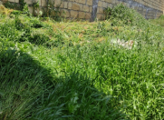 Satılır 2.1 sot torpaq Hökməli