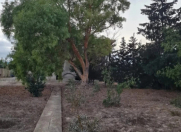 Satılır 40 sot torpaq Mərdəkan