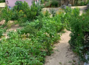 Satılır 7 sot torpaq Sumqayıt