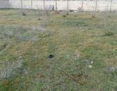 Satılır 30 sot torpaq Novxanı