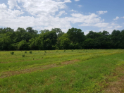 Satılır 311 sot torpaq Xaçmaz