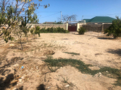 Satılır 8 sot torpaq Bilgəh