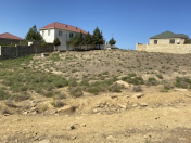 Satılır 600 sot torpaq Saray