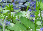 Satılır 3 otaqlı 60 m2 köhnə tikili Ağdaş