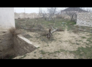 Satılır 2 sot torpaq Qala