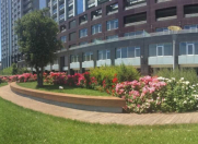 Satılır 4 otaqlı 300 m2 yeni tikili İçəri Şəhər m.