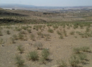 Satılır 27 sot torpaq Mehdiabad