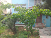 Satılır 9 otaqlı 320 m2 həyət evi Badamdar