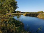 Satılır 800 sot torpaq Xaçmaz