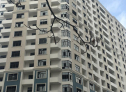 Satılır 14 otaqlı 67 m2 yeni tikili Azadlıq prospekti m.