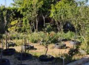 Satılır 3 otaqlı 300 m2 bağ evi Dübəndi bağları