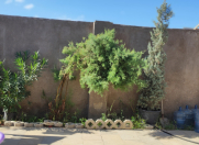 Satılır 3 otaqlı 80 m2 həyət evi Zabrat 1