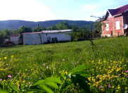 Satılır 12 sot torpaq Quba