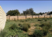 Satılır 13 sot torpaq Novxanı