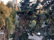 Satılır 1 otaqlı 40 m2 köhnə tikili Əhmədli