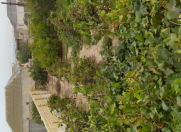 Satılır 5 sot torpaq Fatmayı