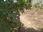 Satılır 4 sot torpaq Binə