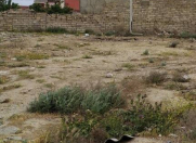 Satılır 3 sot torpaq Əhmədli