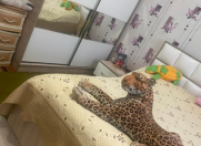 Satılır 4 otaqlı 120 m2 həyət evi Sulutəpə