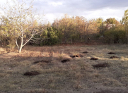 Satılır 3 otaqlı 1200 m2 həyət evi Naxçıvan