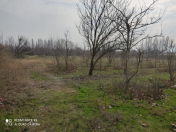 Satılır 36 sot torpaq Ağdaş