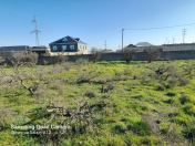 Satılır 6 sot torpaq Qala