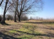 Satılır 5 sot torpaq Qax