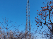 Satılır 4 otaqlı 22 m2 bağ evi Xaçmaz