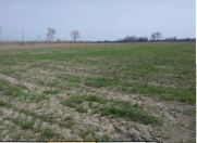 Satılır 100 sot torpaq Xudat