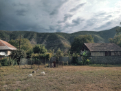 Satılır 4 otaqlı 150 m2 bağ evi Qax