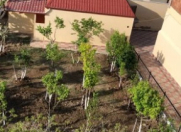 İcarəyə verilir 8 otaqlı 387 m2 bağ evi Hökməli