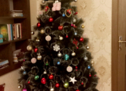 Satılır 9 otaqlı 300 m2 həyət evi Şamaxı