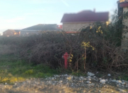 Satılır 4 sot torpaq Qusar