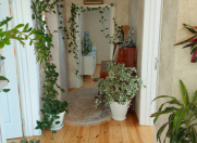 Satılır 3 otaqlı 100 m2 həyət evi Binə