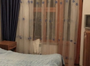 Satılır 3 otaqlı 80 m2 köhnə tikili 8 mkr