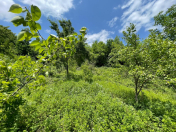 Satılır 40 sot torpaq Quba