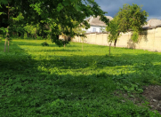 Satılır 7 sot torpaq Qəbələ