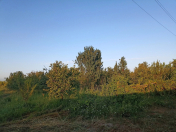 Satılır 34 sot torpaq Göyçay