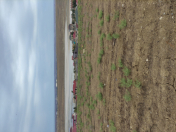 Satılır 10 sot torpaq Fatmayı