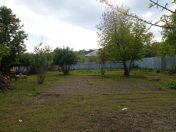 Satılır 10 sot torpaq Qəbələ