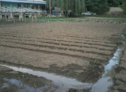 Satılır 4 otaqlı 250 m2 həyət evi Naxçıvan