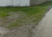 İcarəyə verilir 50 sot torpaq Masallı