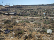 Satılır 50 sot torpaq Balakən