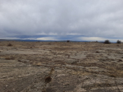 Satılır 1100 sot torpaq Qobustan